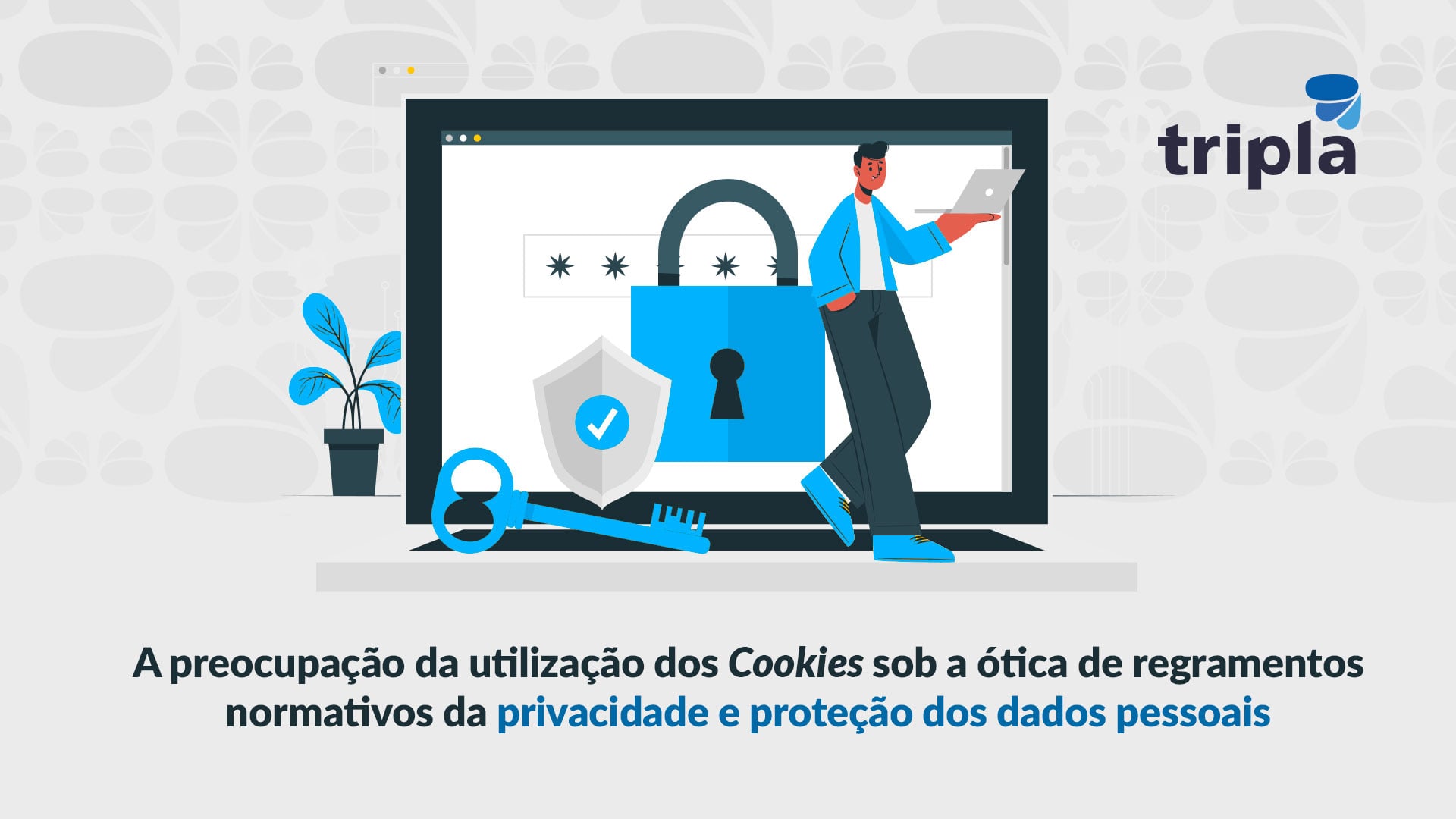 A preocupação da utilização dos Cookies sob a ótica de regramentos normativos da Privacidade e proteção dos dados pessoais