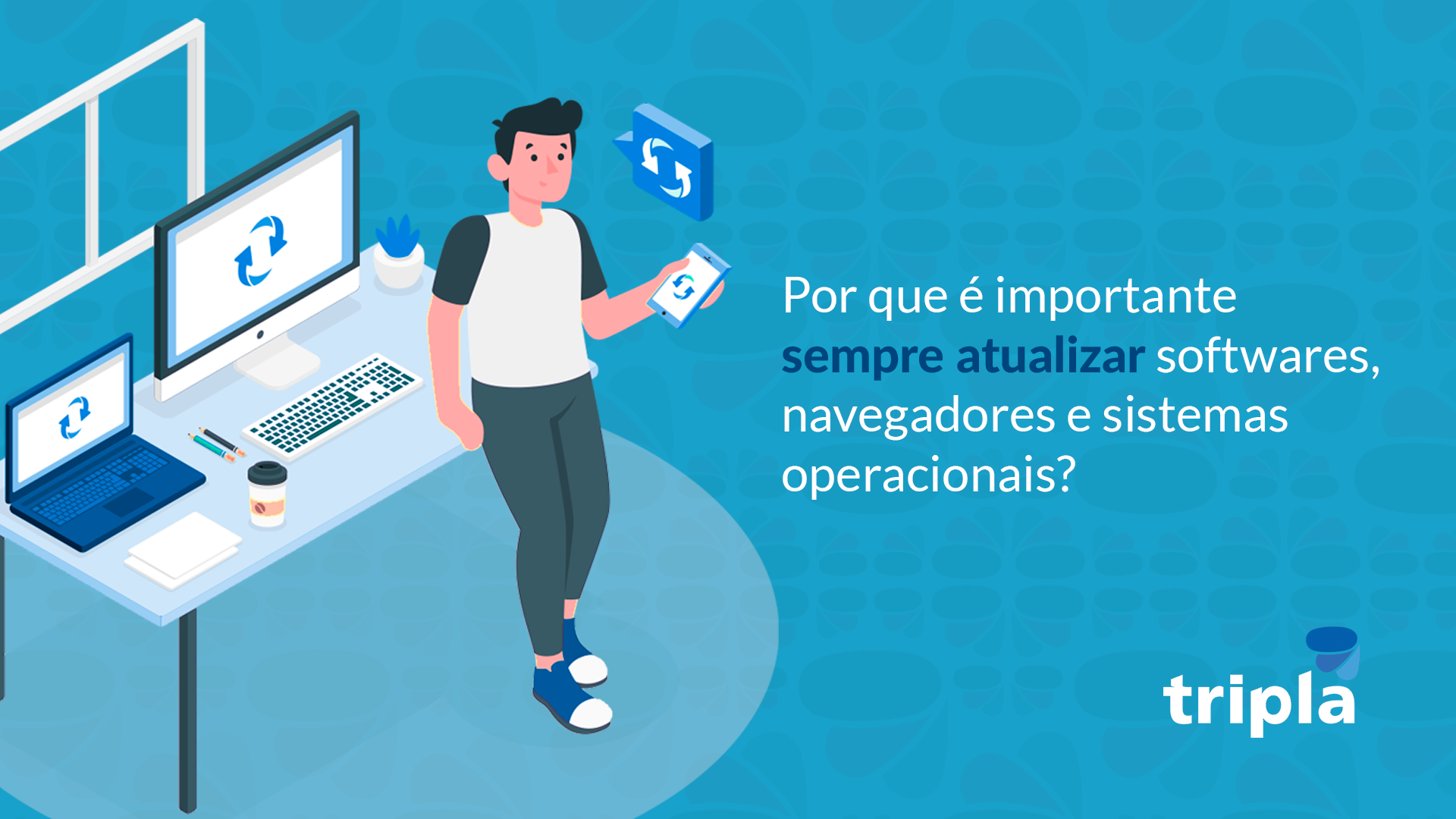 Qual a importância da atualização de softwares, navegadores e sistemas operacionais?